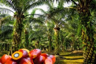 tarif resiprokal trump