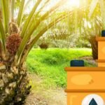 update terbaru proyeksi harga CPO