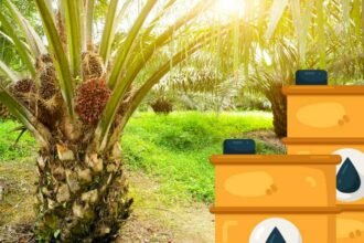 update terbaru proyeksi harga CPO