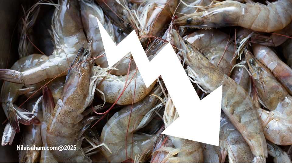 saham emiten eksportir udang